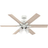 Hunter Fonthill | Ceiling Fan with 4.50W A15 & Handheld Remote