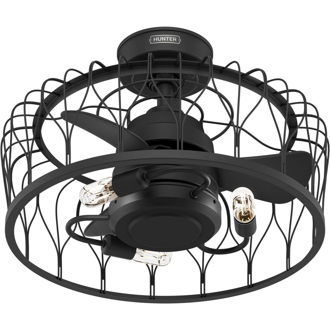 HunterRotonda20"Ceiling Fan
