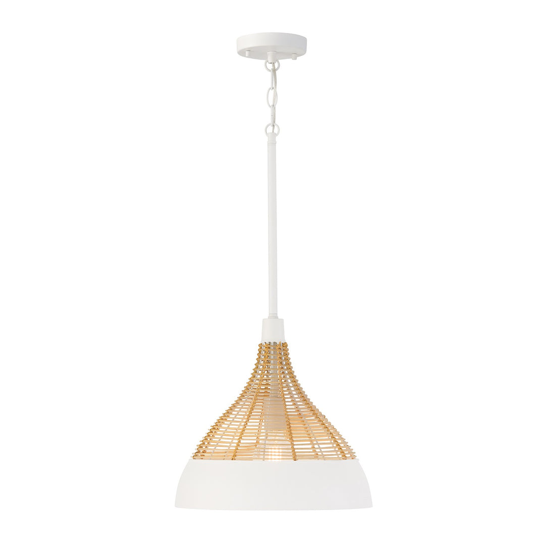 Capital LightingKaliOne Light Pendant