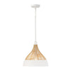 Capital Lighting Kali | Pendants at 100W
