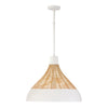 Capital Lighting Kali | Pendants at 100W