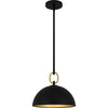 Quoizel Cleo | Pendants at 100W