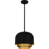Quoizel Frankie | Pendants at 60W & 100W