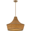 Quoizel Quoizel Pendant | Pendants at 100W