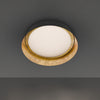 Modern Forms Gilt | Flush Mounts at 61.60W, 4183lm, & 3000K Temp