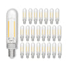 Hinkley LumiGlo Bulb | Bulbs at 2400K Temp