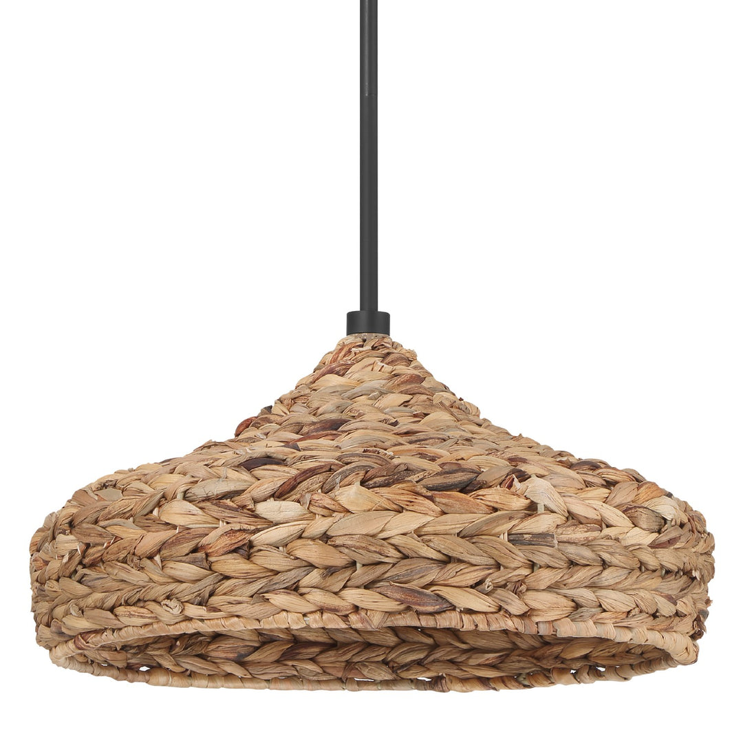 HunterCambriaOne Light Pendant