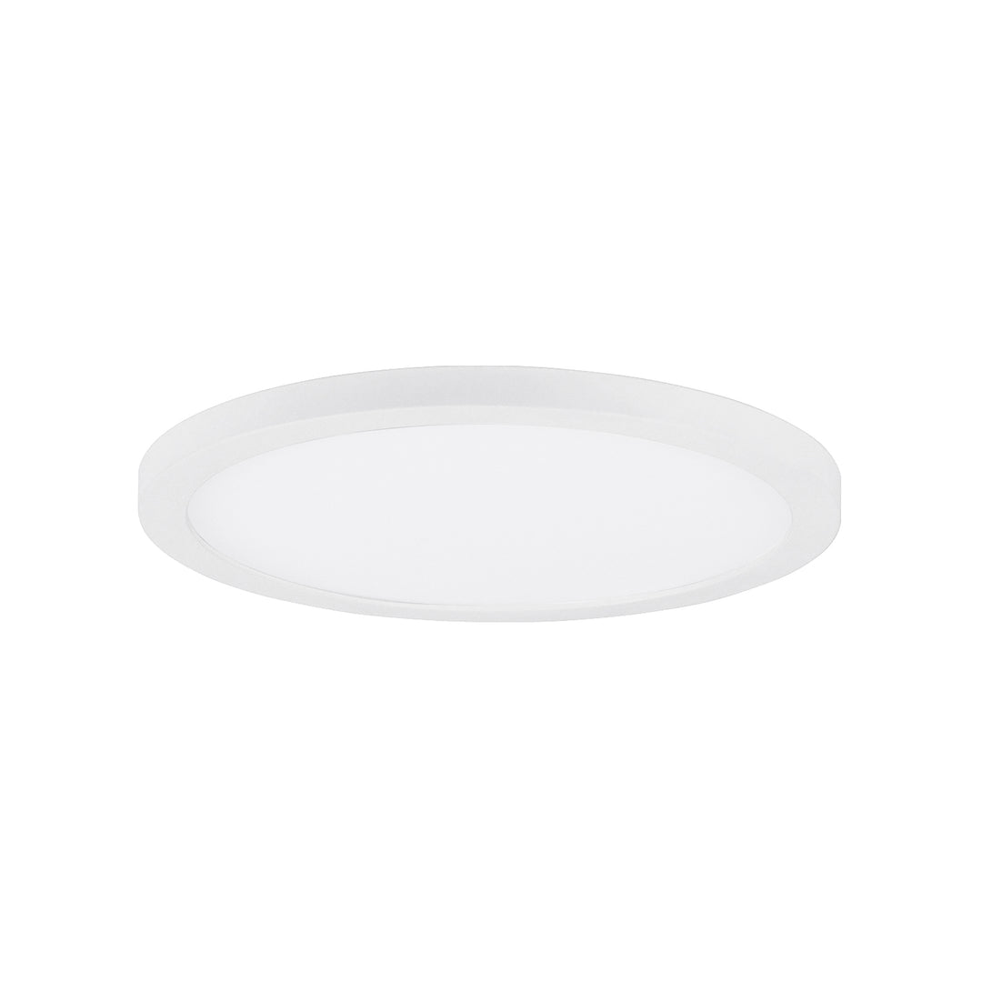 MaximChip - 5CCTLED Flush Mount
