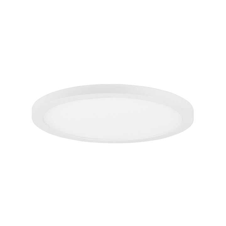 MaximChip - 5CCTLED Flush Mount