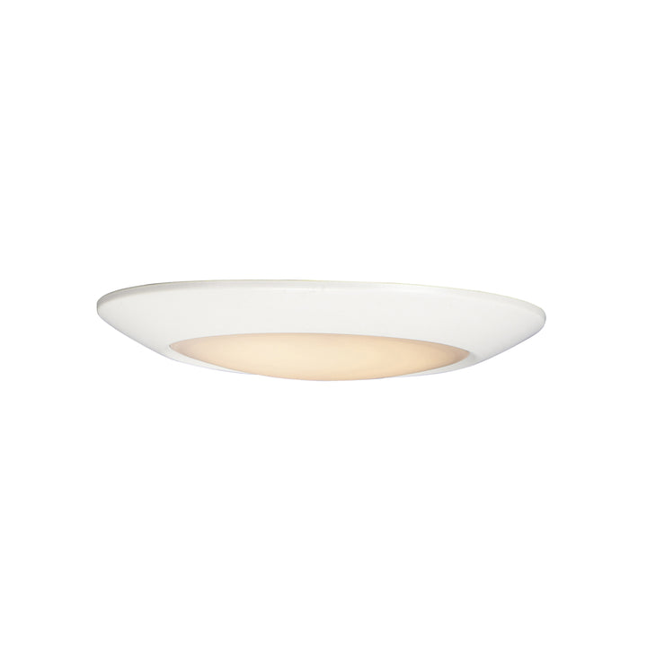 MaximDiverseLED Flush Mount