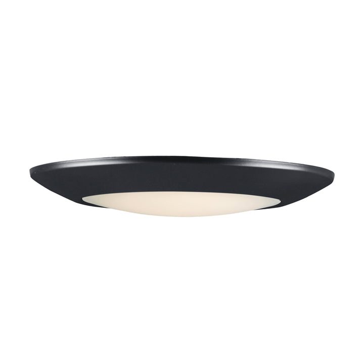 MaximDiverseLED Flush Mount
