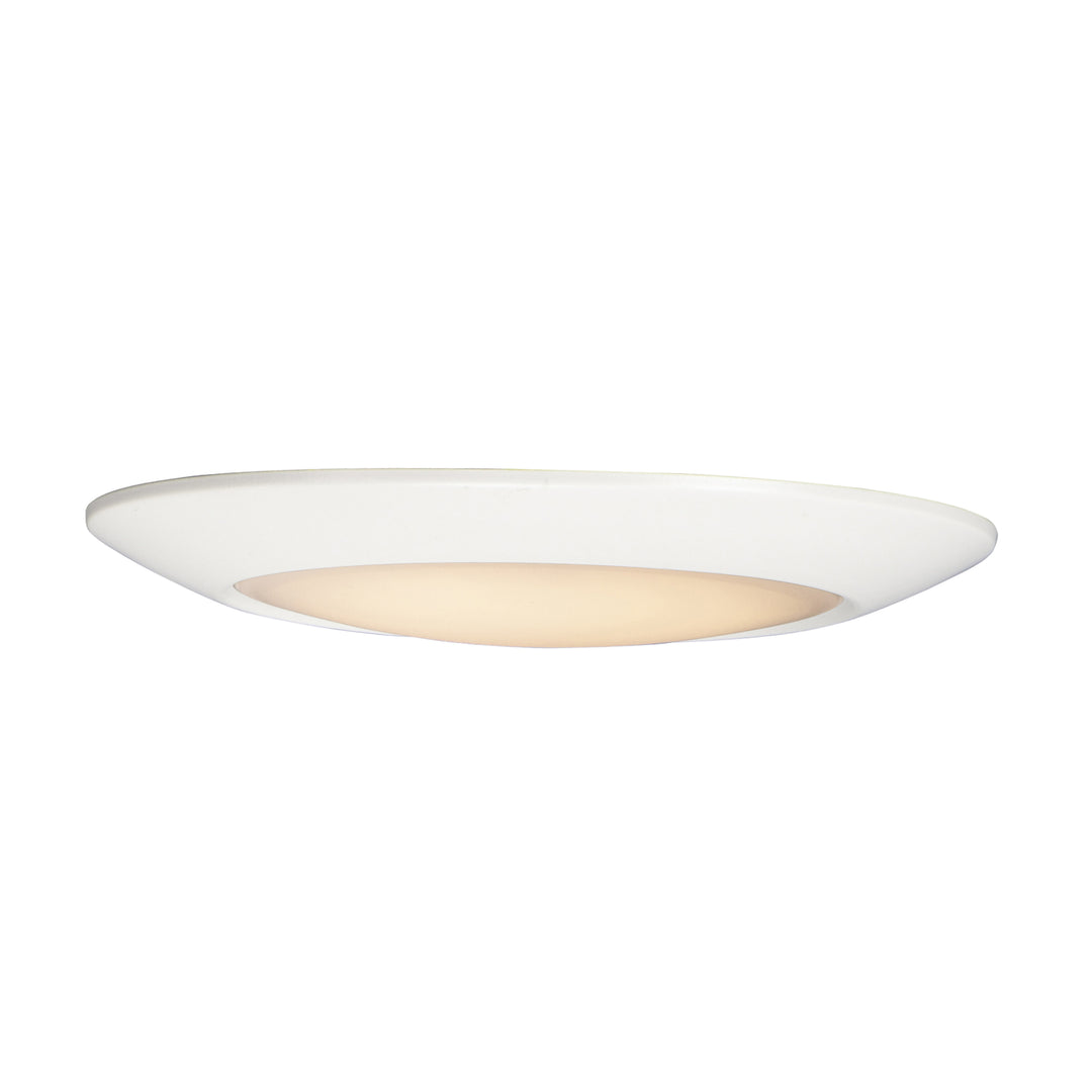 MaximDiverseLED Flush Mount