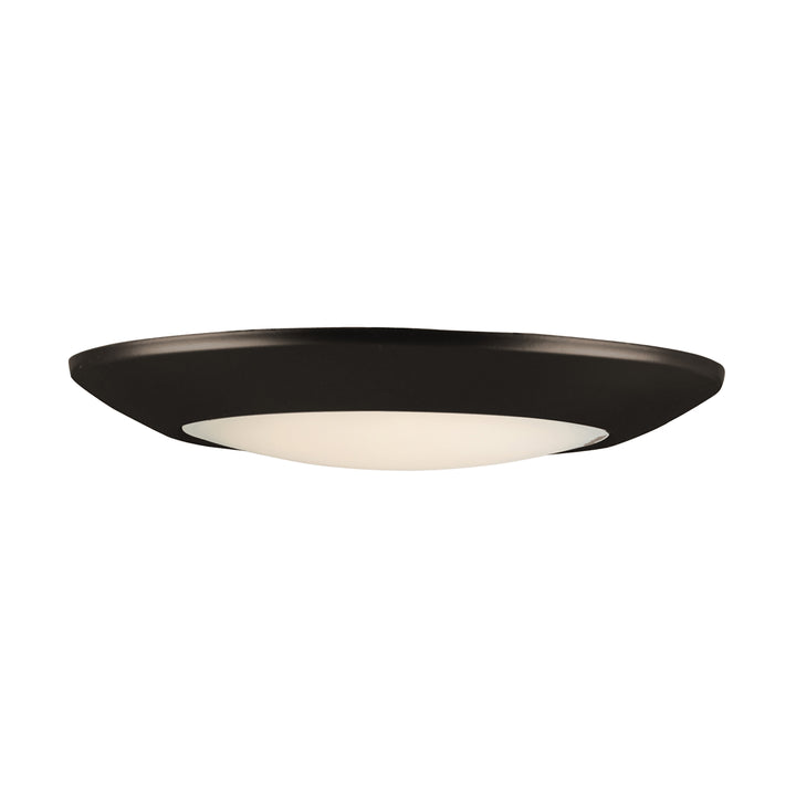 MaximDiverseLED Flush Mount