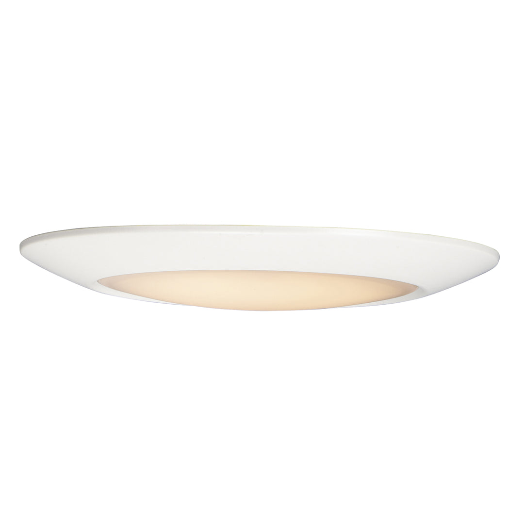 MaximDiverseLED Flush Mount