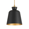 Minka-Lavery Holloway | Pendants at 100W