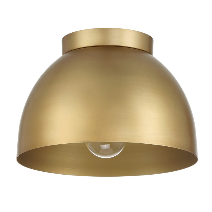 HunterErlingOne Light Flush Mount