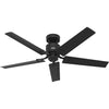 Hunter Windbound 52" Damp-Rated Ceiling Fan
