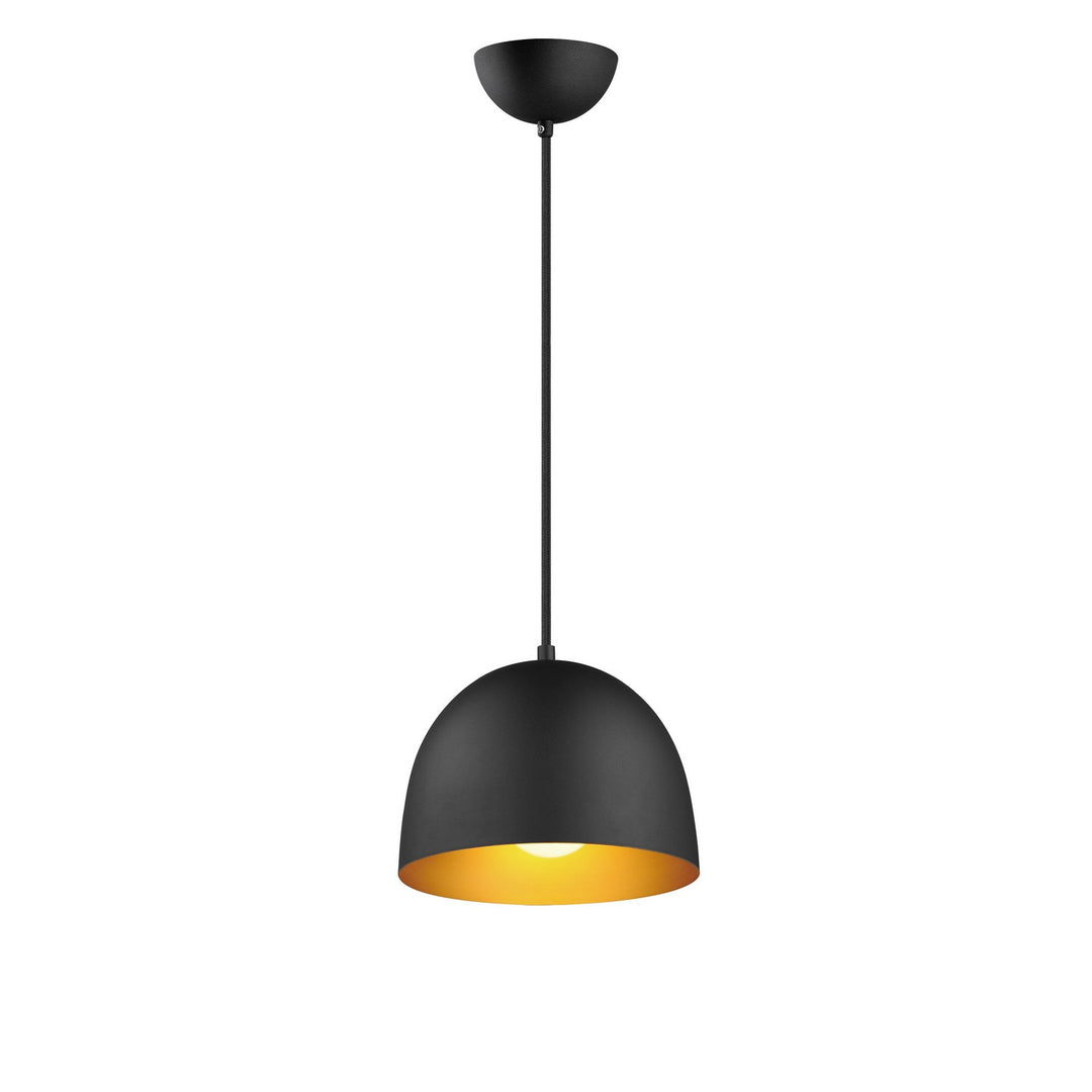 MaximTovaOne Light Pendant