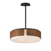 Maxim Draughtsman | Pendants at 60W