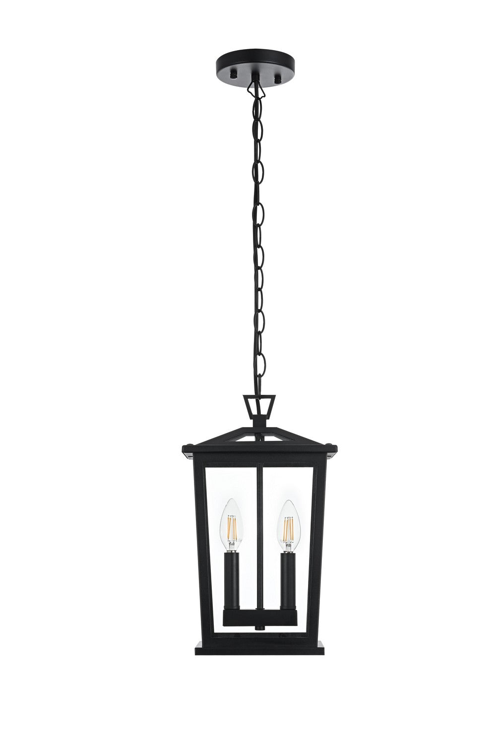 Elegant LightingBerksTwo Light Outdoor Pendant