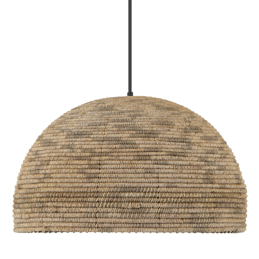 HunterHillmountOne Light Pendant
