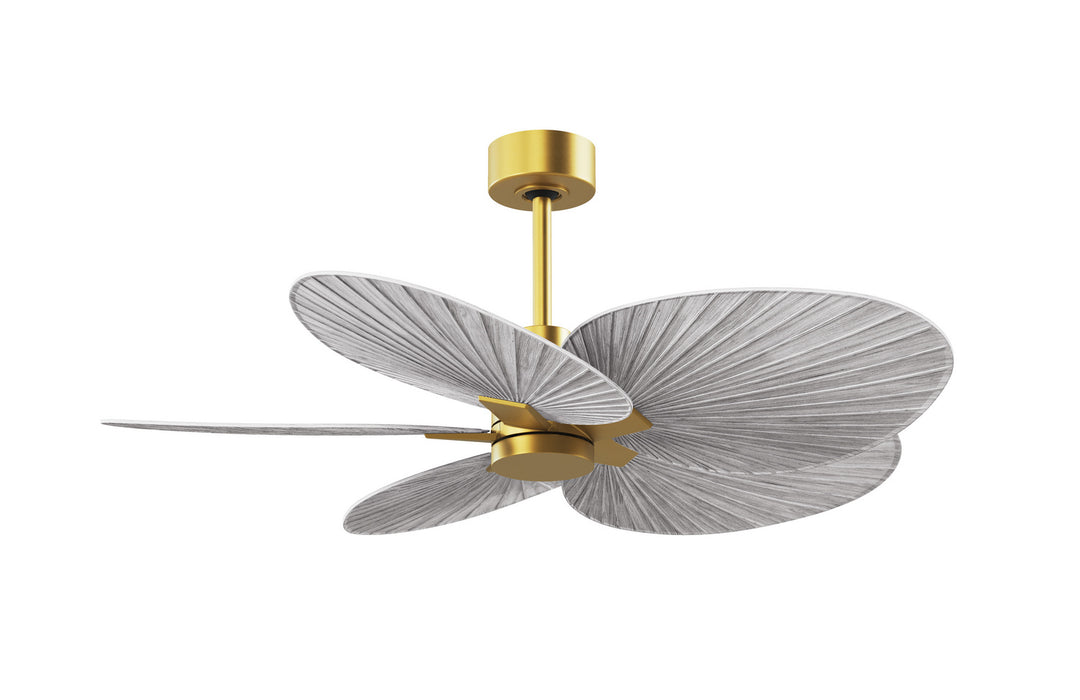 Matthews Fan CompanyAlessandra Tropical48" Ceiling Fan