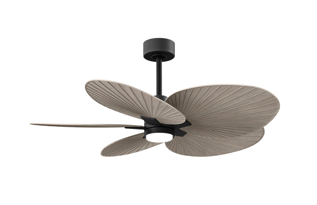 Matthews Fan CompanyAlessandra Tropical - LK48" Ceiling Fan
