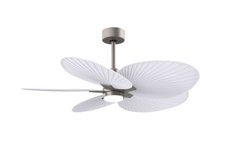 Matthews Fan CompanyAlessandra Tropical - LK48" Ceiling Fan