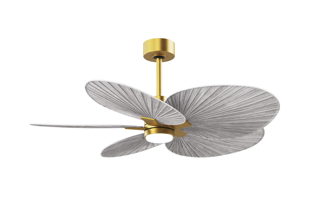 Matthews Fan CompanyAlessandra Tropical - LK48" Ceiling Fan