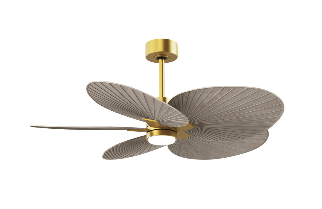 Matthews Fan CompanyAlessandra Tropical - LK48" Ceiling Fan