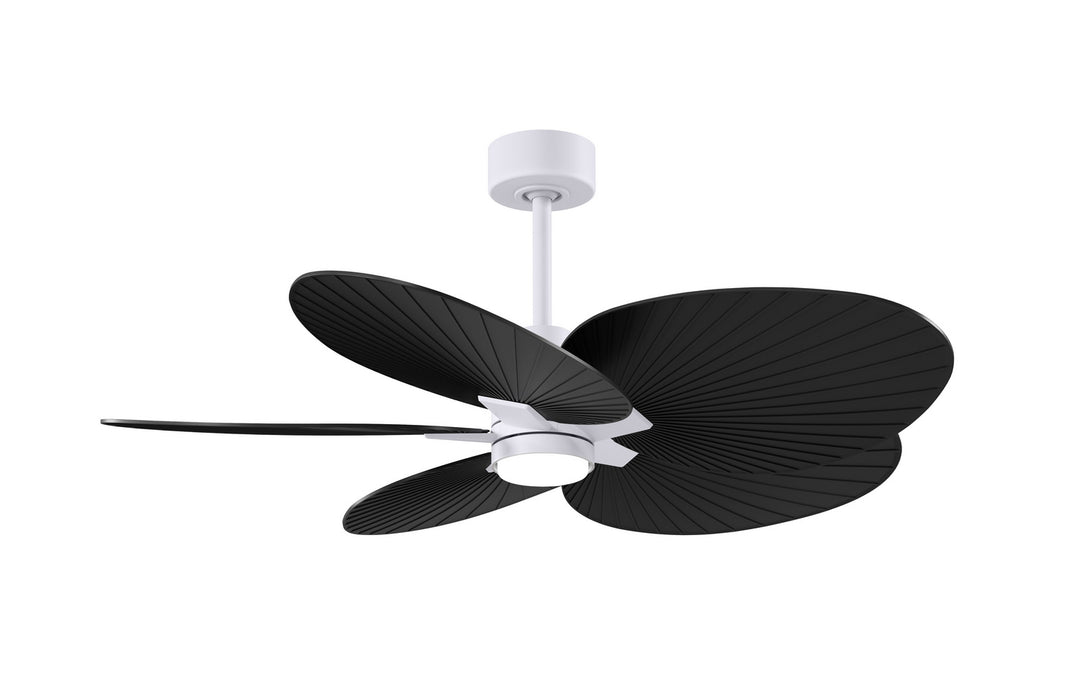 Matthews Fan CompanyAlessandra Tropical - LK48" Ceiling Fan