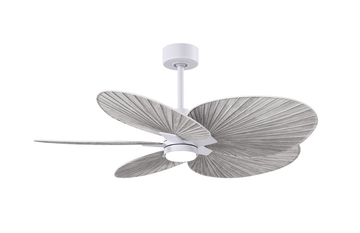 Matthews Fan CompanyAlessandra Tropical - LK48" Ceiling Fan