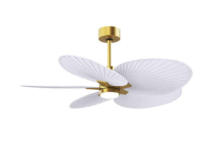 Matthews Fan CompanyAlessandra Tropical - LK48" Ceiling Fan