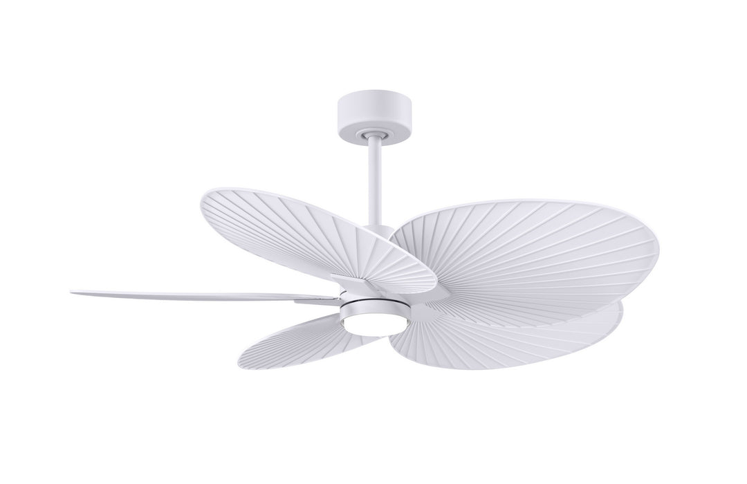 Matthews Fan CompanyAlessandra Tropical - LK48" Ceiling Fan