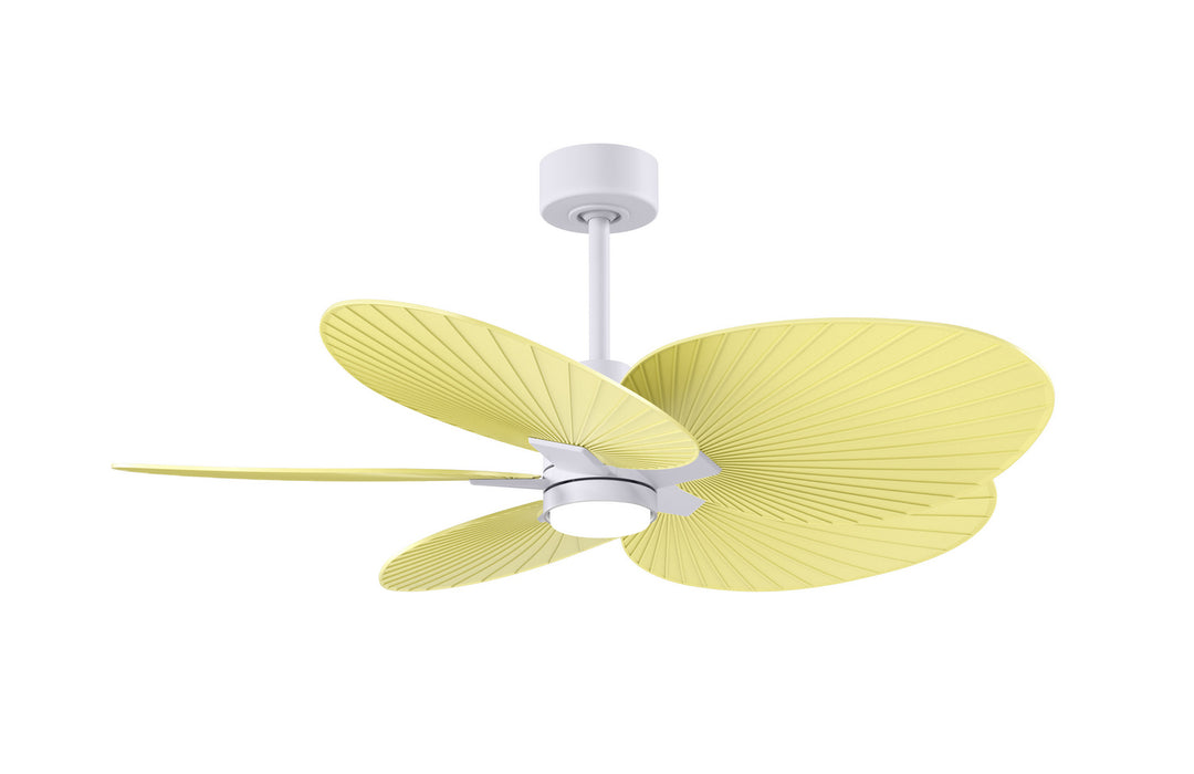 Matthews Fan CompanyAlessandra Tropical - LK48" Ceiling Fan