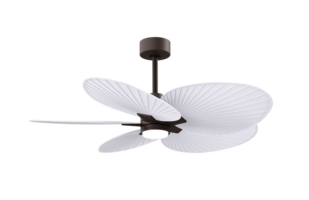Matthews Fan CompanyAlessandra Tropical - LK48" Ceiling Fan