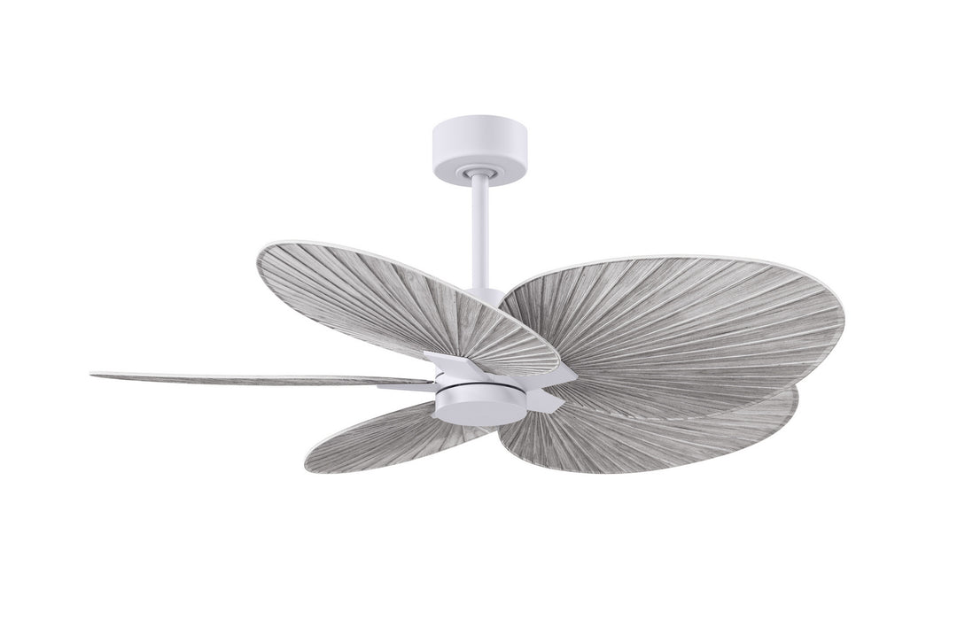 Matthews Fan CompanyAlessandra Tropical48" Ceiling Fan