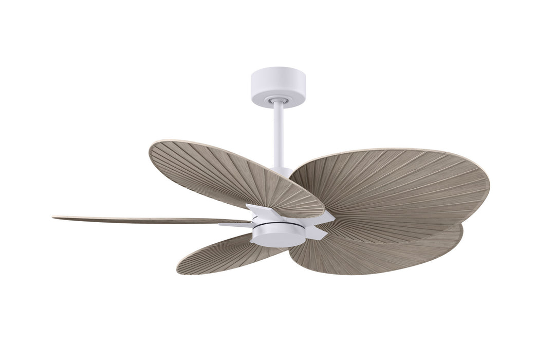 Matthews Fan CompanyAlessandra Tropical48" Ceiling Fan