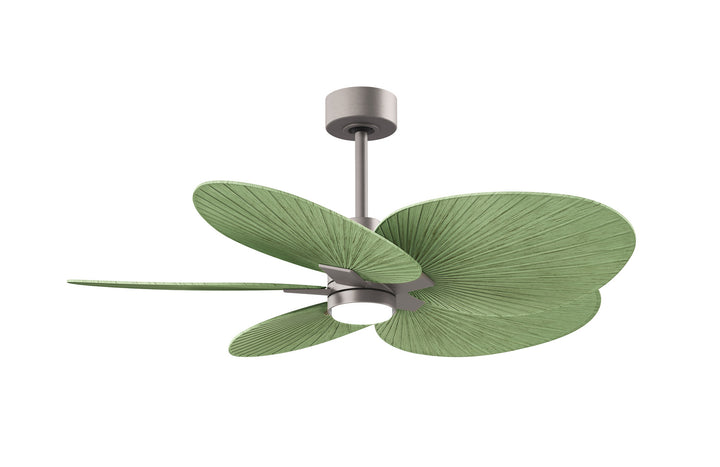 Matthews Fan CompanyAlessandra Tropical - LKFive Blade Ceiling Fan