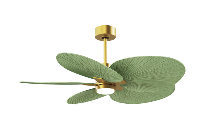 Matthews Fan CompanyAlessandra Tropical - LKFive Blade Ceiling Fan