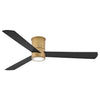 Hinkley Speck Flush | Outdoor Ceiling Fan with 16W & HIRO Control - 6 Speed Reversing