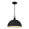 Quoizel Braylon | Pendants at 100W