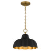 Quoizel Leanne | Pendants at 100W & 60W