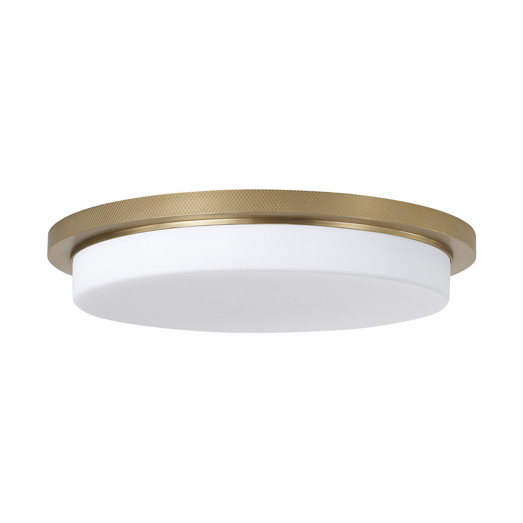Capital LightingDominicLED Flush Mount