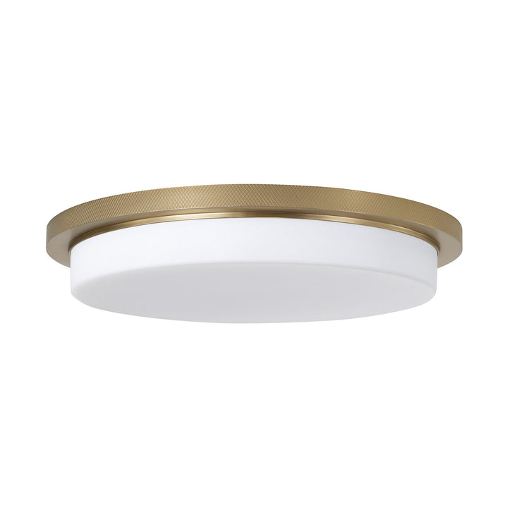 Capital LightingDominicLED Flush Mount