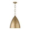 Capital Lighting Francesca | Pendants at 3000K Temp
