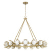 Capital Lighting Flora | Large Chandeliers at 40W