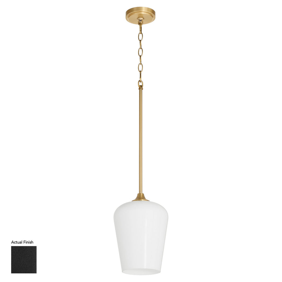 QuorumRaymondOne Light Pendant