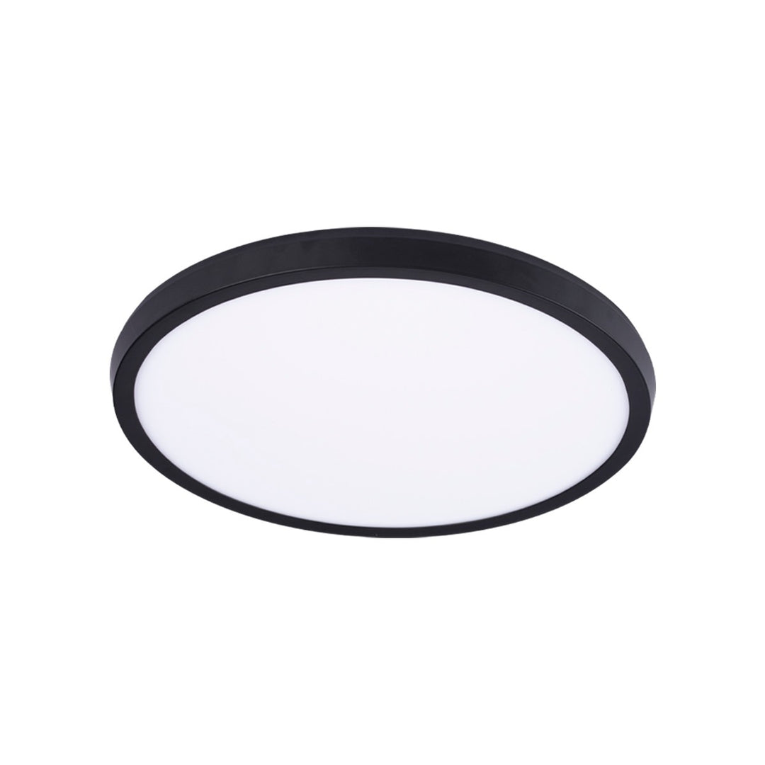 Modern FormsArgoLED Flush Mount