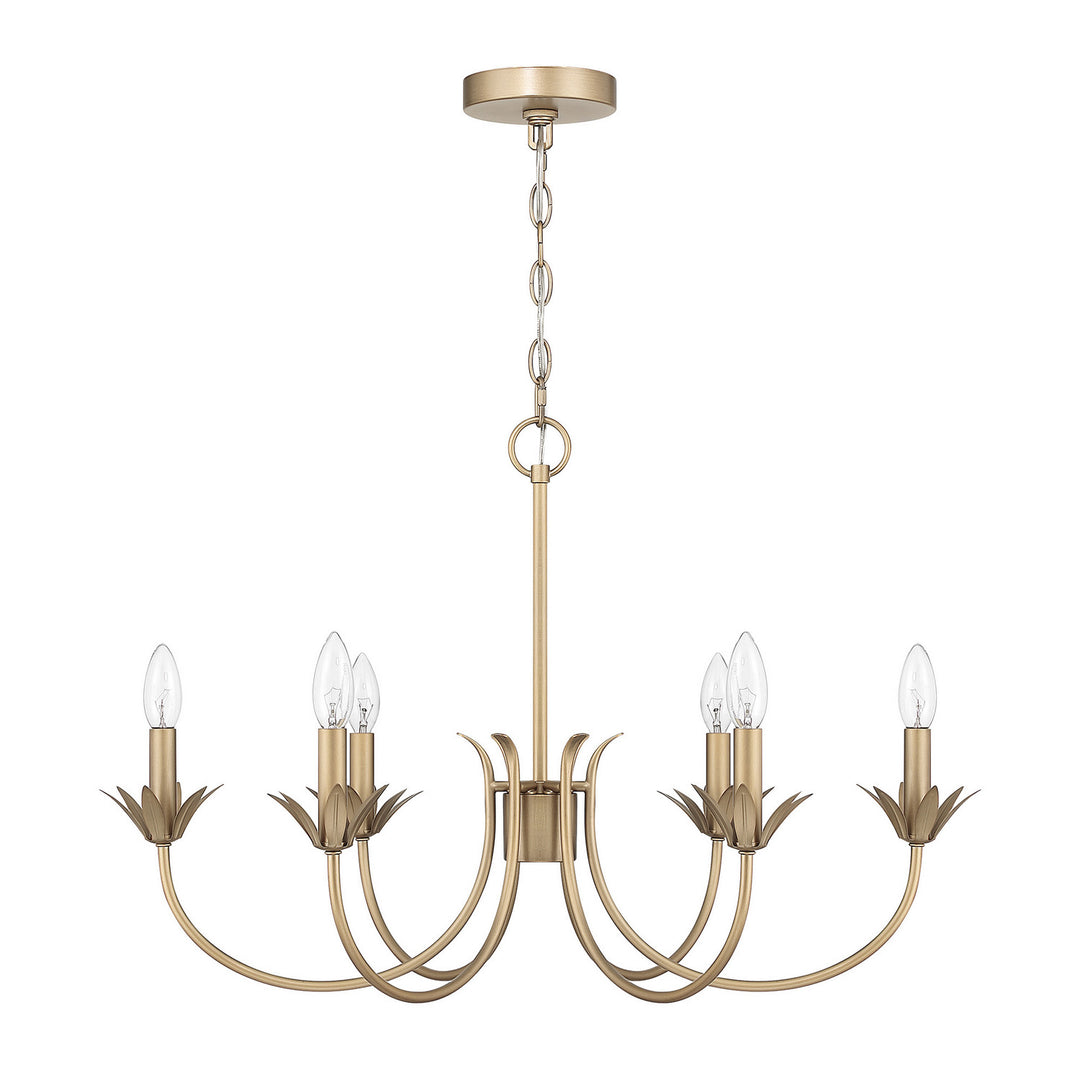 HunterJunie BudSix Light Chandelier